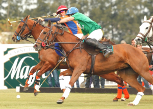 La Queen’s Cup tiene dueño: imbatible Zacara (2014)