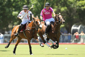 FACE TO FACE: POLO TRAINING