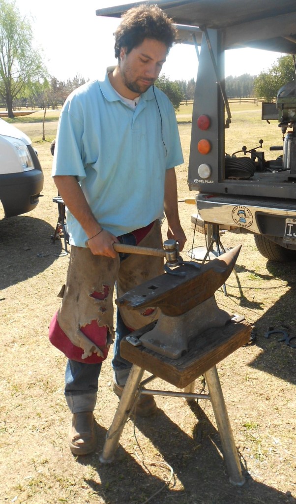 polo horse's farrier