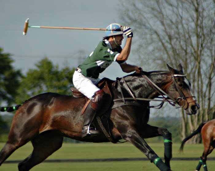 adolfo-cambiaso-polo