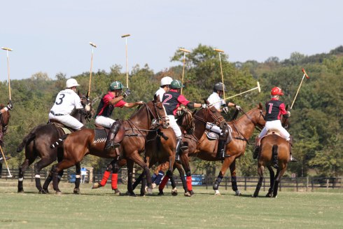 GUIDED POLO TOUR: MORE POLO WITH THOSE WHO KNOW THE MOST