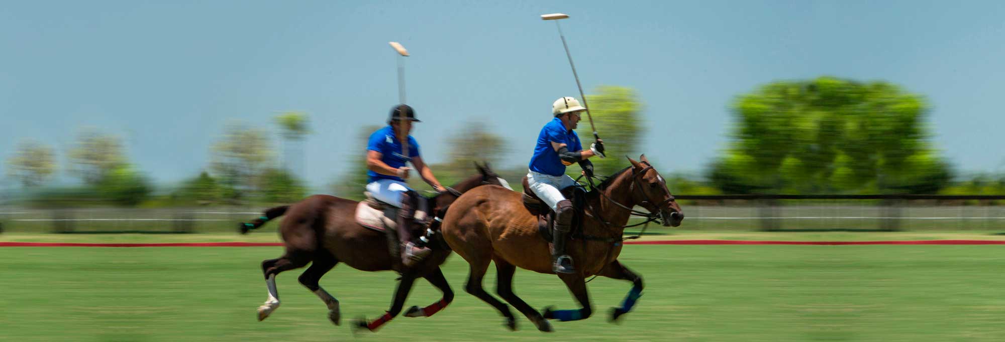 Full Polo Day