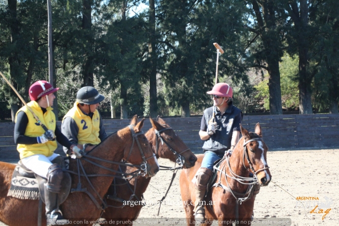 Feel The Vibe! Play Polo In Argentina!
