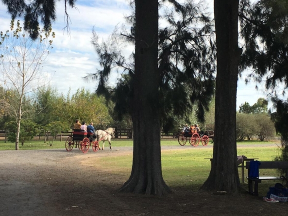 Argentine traditions: What to Do in an Estancia?