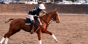 Did you know Polo can only be played with your right hand?