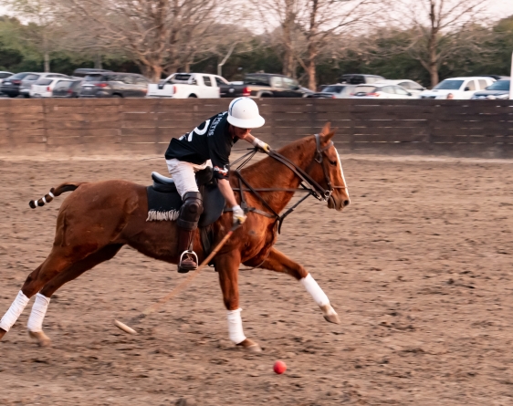 Polo can only be played with your right hand