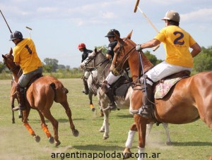 polo holiday