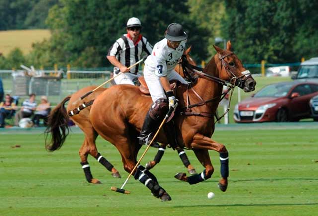 polo equipment