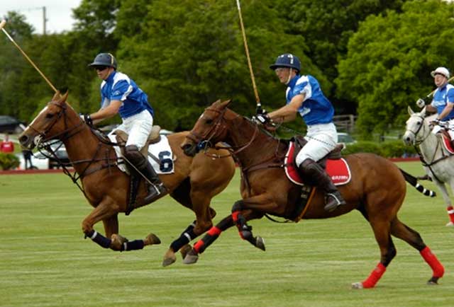 NATURAL AIDS TO PLAY POLO