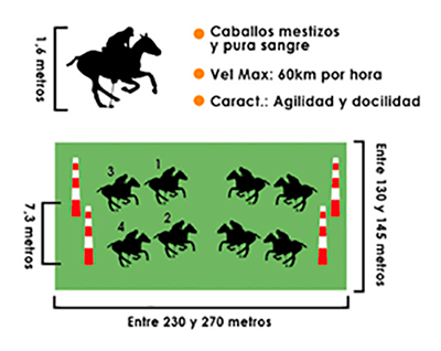 cancha-polo