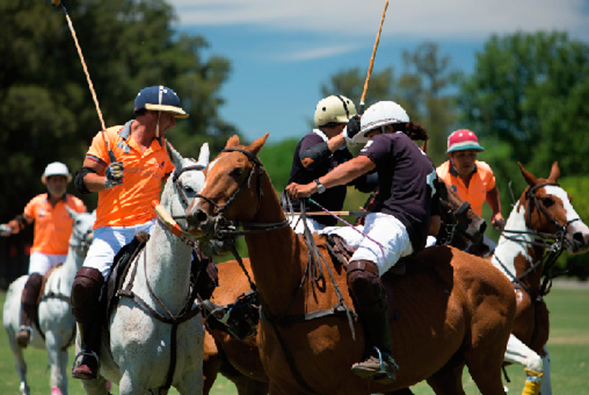 juego de polo