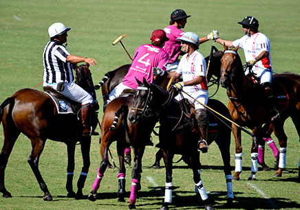 polo reglas basicas