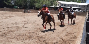 What are the rules for arena polo?
