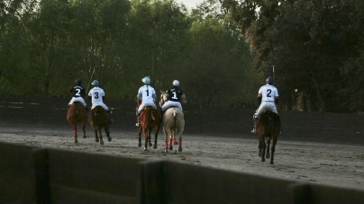 Arena Polo in Argentina: fast and fun