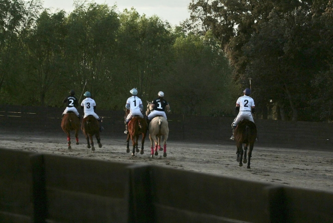 Arena Polo in Argentina: fast and fun