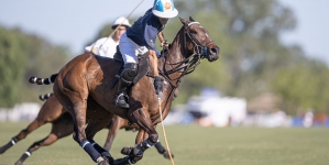 5 Polo Terms to Know