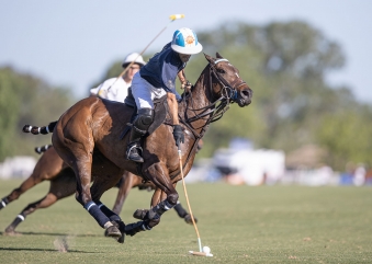 5 Polo Terms to Know
