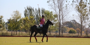 Why is horse riding good for your health?