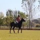 Why is horse riding good for your health?