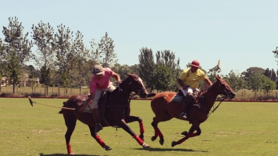 Get Ready to Play Polo in Argentina