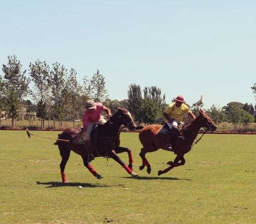 Get Ready to Play Polo in Argentina