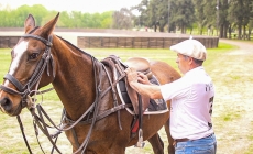 How to Saddle a Horse for Polo