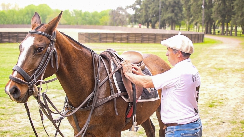 How to Saddle a Horse for Polo