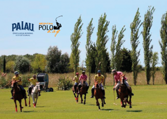 Acuerdo de Cooperación entre Argentina Polo Day y Agua Palau