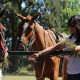Técnicas alternativas de entrenamiento de caballos de polo
