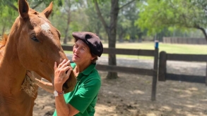 How to earn a horse’s trust