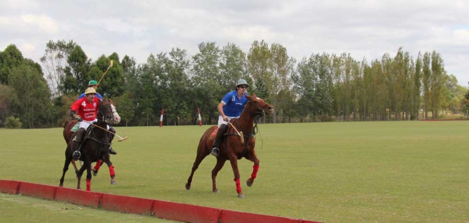 What to consider for choosing a horse to play polo | Argentina Polo Day