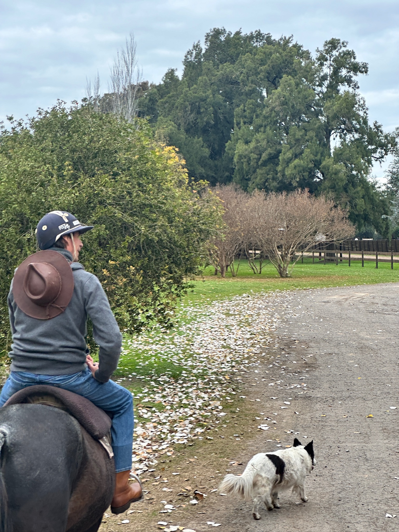 Argentina Polo Day y un compromiso con el futuro de todos.