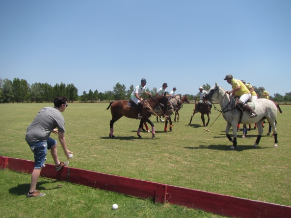 Polo Experience, a major adventure when traveling to Argentina