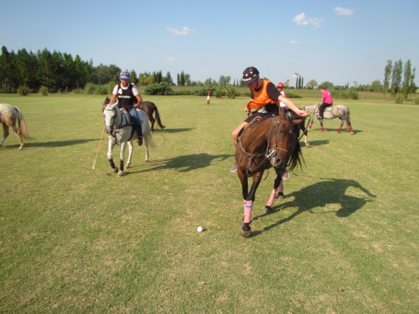 Why Polo is the best in delivering bonding experiences for corporate groups