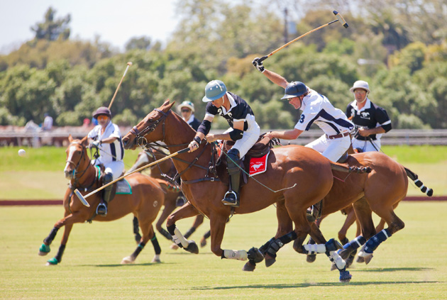 Polo Curiosities and History | Argentina Polo Day