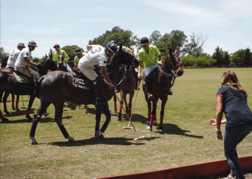 What Are the Basic Rules of Polo?