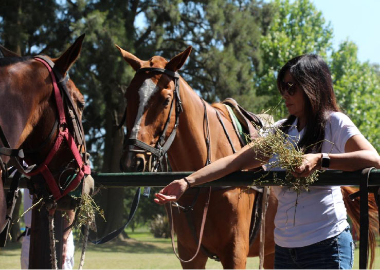 Creators of Memorable Experiences: The Essence of Argentina Polo Day