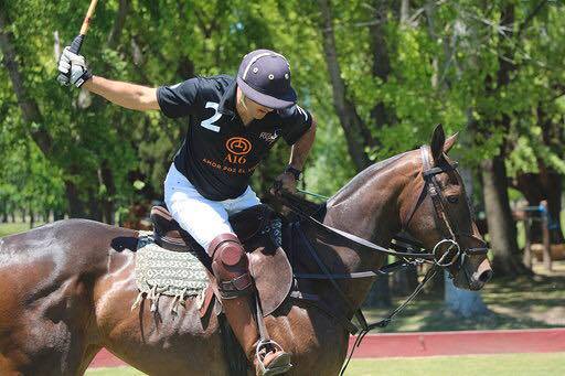 Mastering Polo Training: Insights from Experts