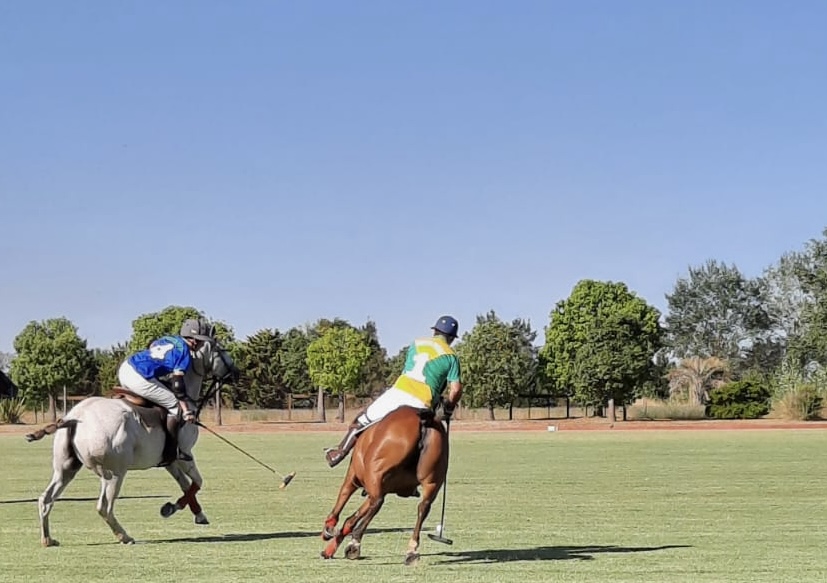 polo training