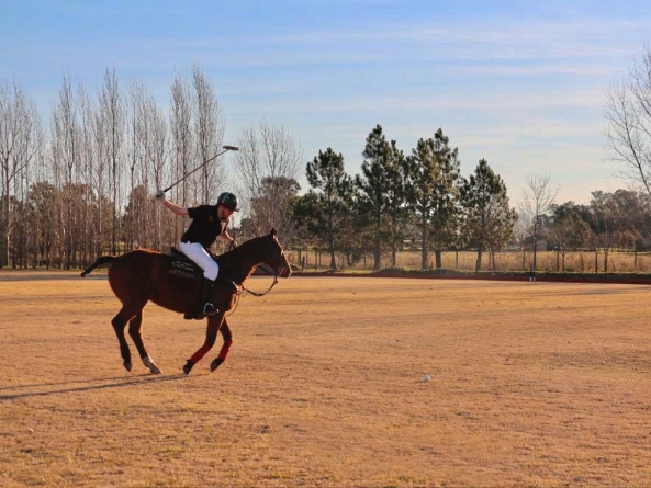 The Seasons of Polo vs Playing Every Day at Argentina Polo Day