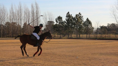 How to take care of a polo horse?