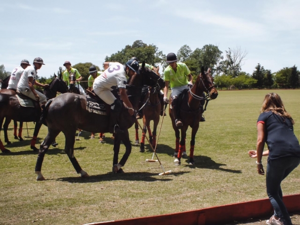 Why is polo considered to be the Sport of Kings?