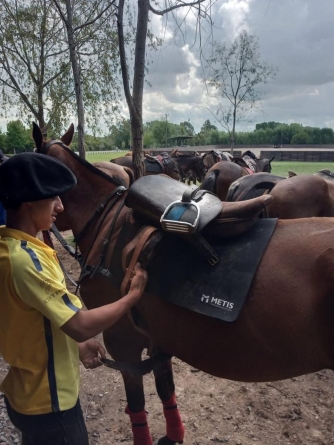 How to Prepare Your Horse for a Polo Match?