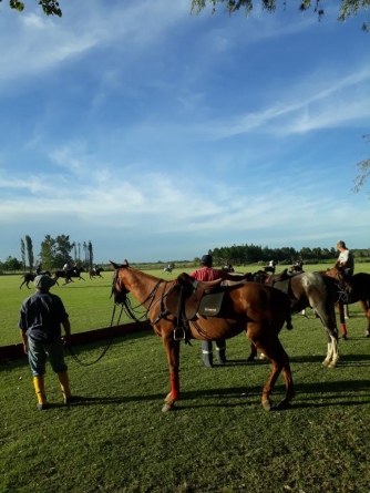 How many horses does it take to play polo?