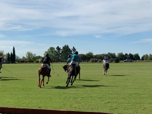 Where to Watch Polo in Buenos Aires?