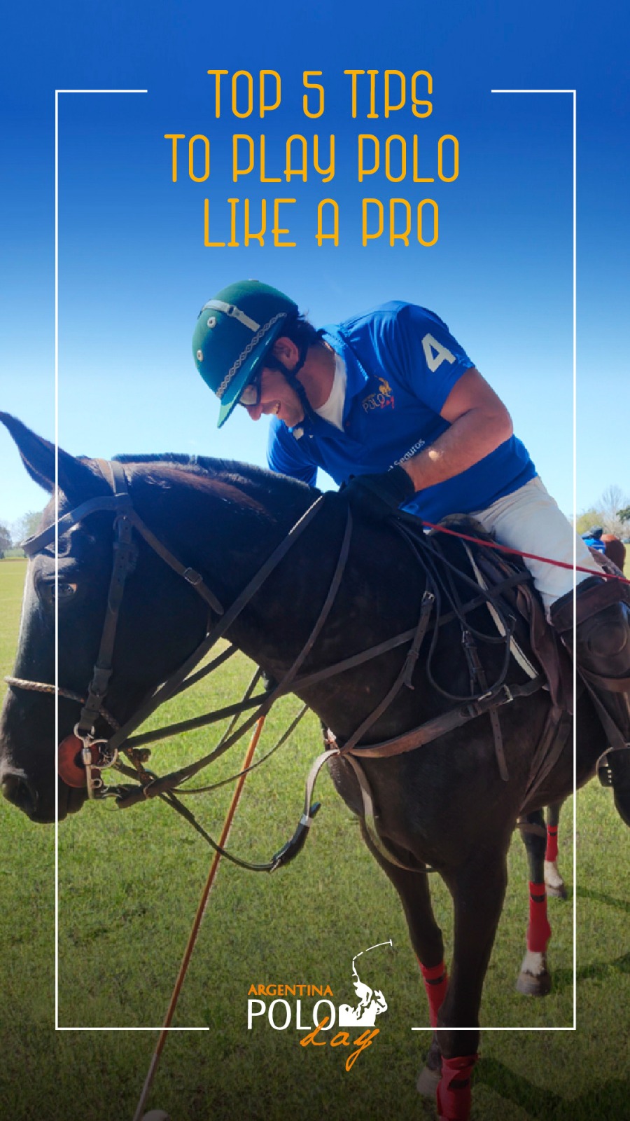 How to Play Polo Like a Pro: 5 Essential Tips