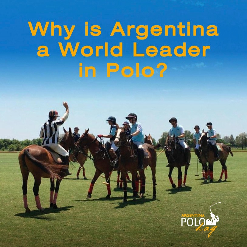 Why is Argentina a World Leader in Polo?