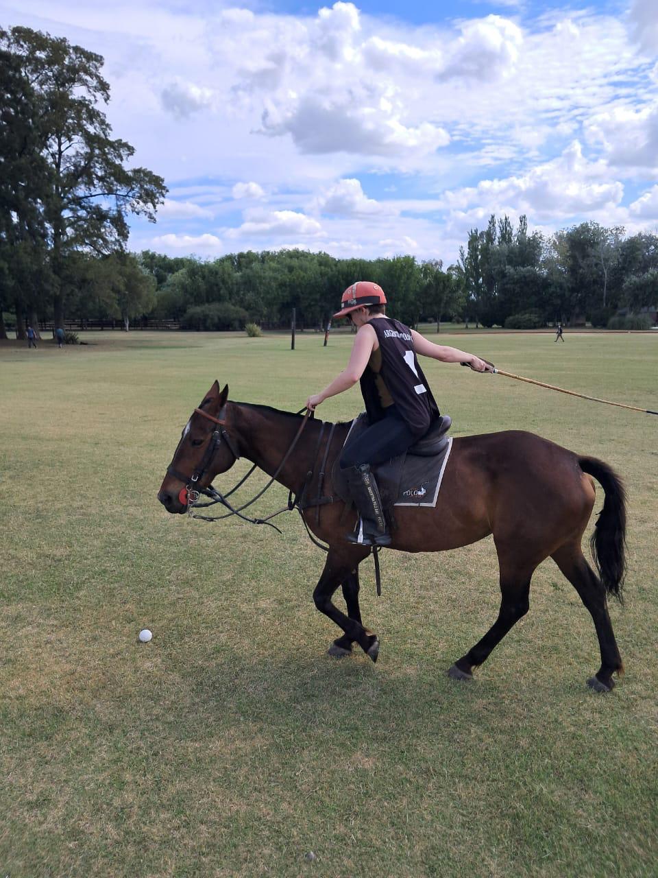 Where Can I Learn to Play Polo in Buenos Aires?