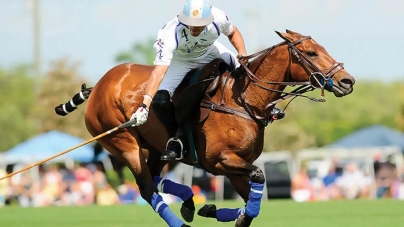 Why is Argentina considered the Polo Capital of the world?