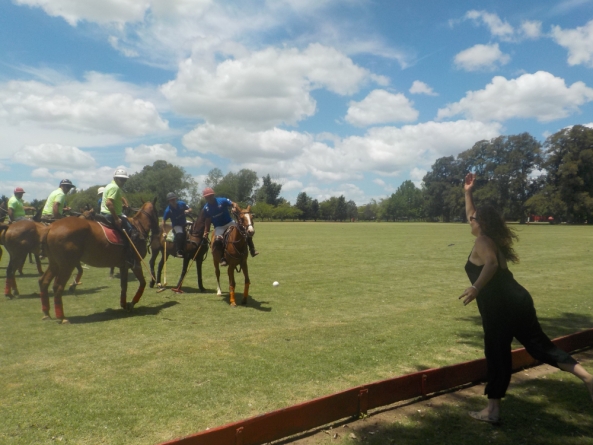 Horses in a Polo Match